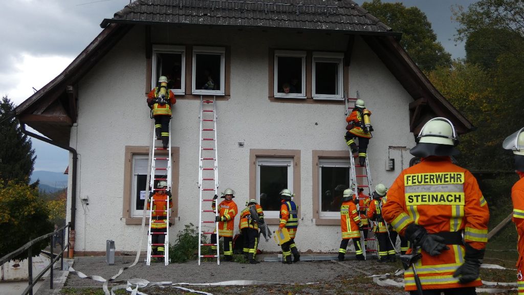 Die Zusammenarbeit klappt perfekt