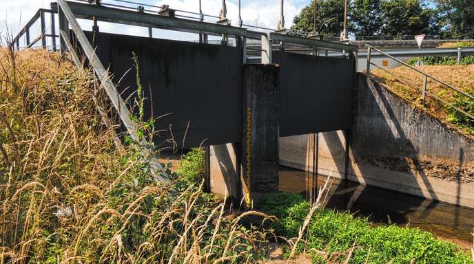 Messlatte zeigt Pegelstand des Welschensteinacher Bachs&nbsp;an